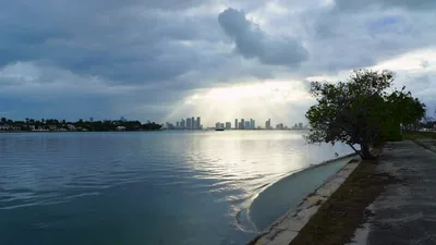 Liberty City